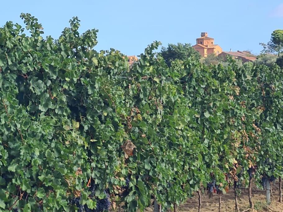 Montepulciano - La Casetta Del Pian Delle Noci 阿夸维瓦 外观 照片