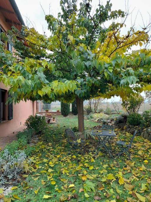 Montepulciano - La Casetta Del Pian Delle Noci 阿夸维瓦 外观 照片
