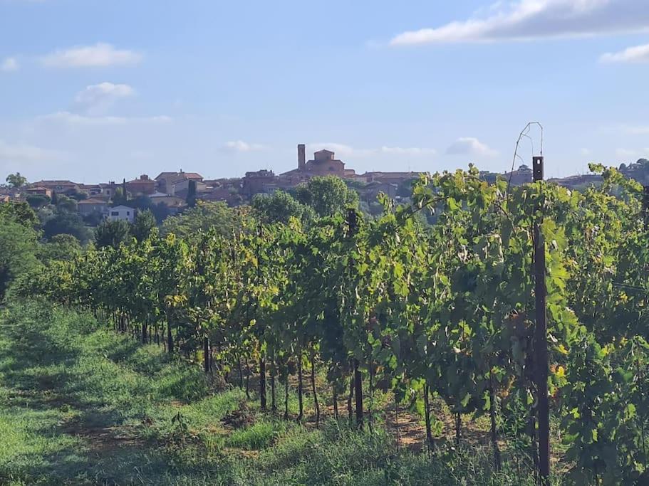 Montepulciano - La Casetta Del Pian Delle Noci 阿夸维瓦 外观 照片