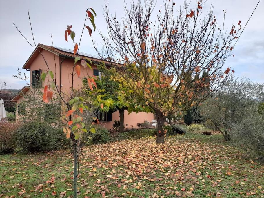 Montepulciano - La Casetta Del Pian Delle Noci 阿夸维瓦 外观 照片