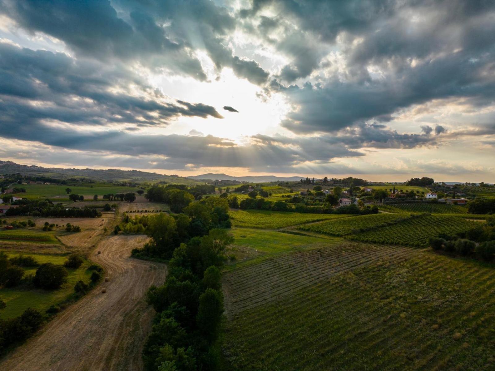 Montepulciano - La Casetta Del Pian Delle Noci 阿夸维瓦 外观 照片